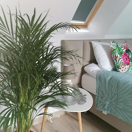 Apartmán Under The Hill 3 *