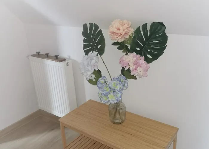 Under The Hill 3 * Mużaków